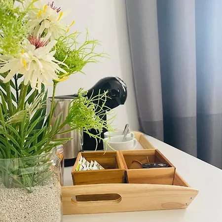 Alisol Boutique San Pedro 招待所 马尔韦利亚